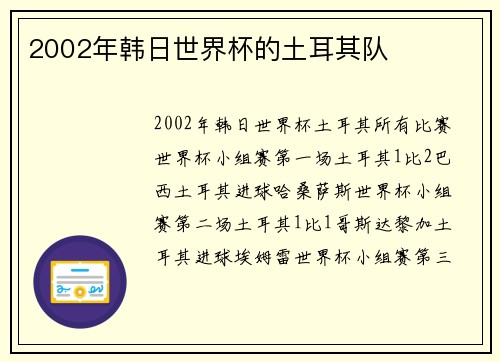 2002年韩日世界杯的土耳其队