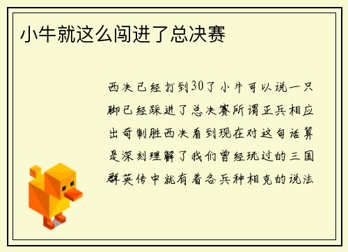 小牛就这么闯进了总决赛